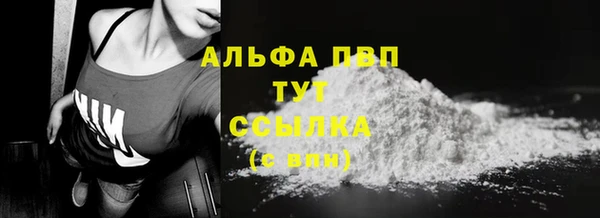 дмт Белокуриха