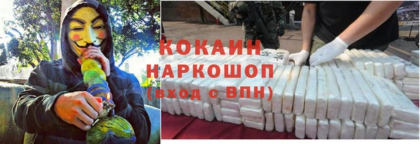сатива Белоозёрский