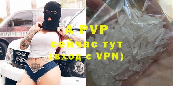 дмт Белокуриха