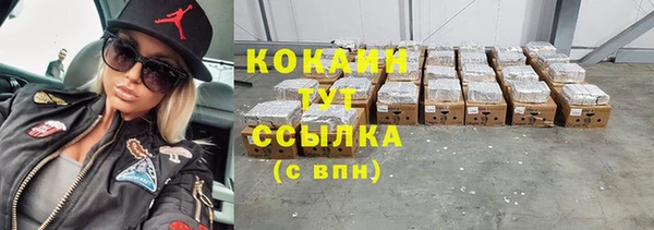 сатива Белоозёрский
