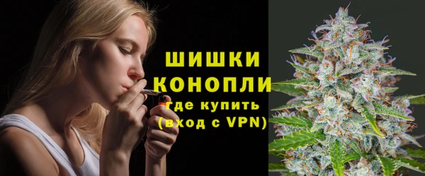 сатива Белоозёрский