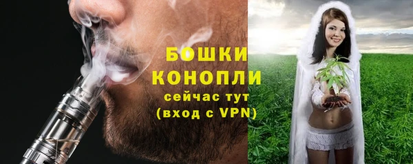 сатива Белоозёрский