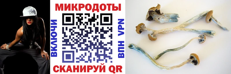 цены наркотик  Шумиха  Галлюциногенные грибы мухоморы 